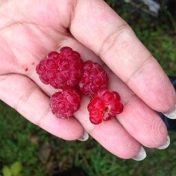 alimovna09's profile picture. Я Дева . дружу с деревянным Драконом!