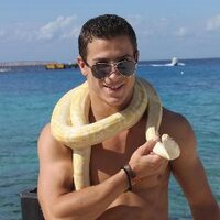 Andrei Silviu Ogrean (@andreiogrean) 's Twitter Profile
