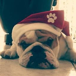 fiwou's profile picture. Fonctionnaire, informaticien et syndicaliste... pas besoin d'en rajouter