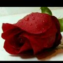 ُـشـُسُـ‘ـُۅيُـ‘ـُلك (@13Wdani) Twitter