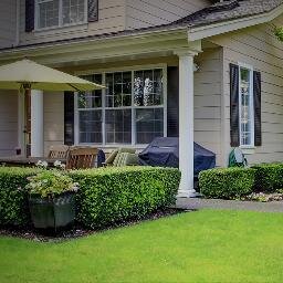 3dmimari's profile picture. 