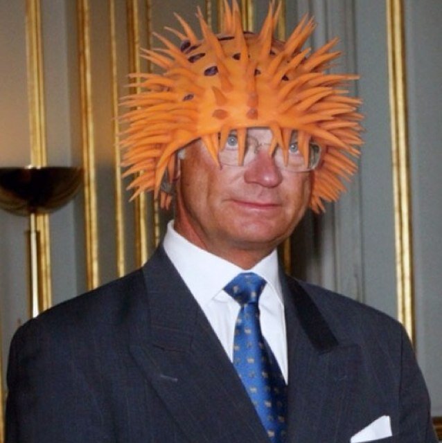 ~I am not the official king of Sweden~ I just post hilarious pictures of him.