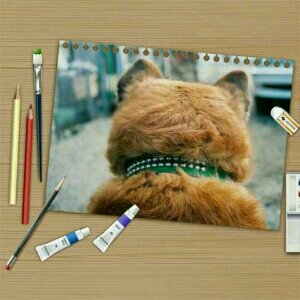 taro_no_koya's profile picture. うつくしまふくしまの福島県出身🍑
福島と飛行機・オーケストラが好き🎻「シャポードパイユ」応援団長。「うとＰａｎ」🥖フードアナリスト４級。福ミミらじお。仙台フィルSK、都響TMSOサポーター、東京フィル賛助、神奈川フィル、名フィルFC、九響破門組、日本オケトラ協会中野支部長兼東北支社長🚚青山学院大学