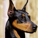 Dray X Sean - @DrayxSean - Twitter