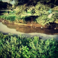 Hamad (@hamad423l) 's Twitter Profile