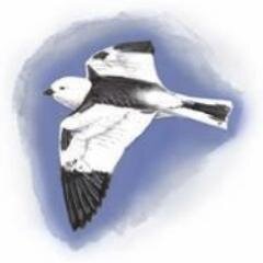 News provided by Birdlife Norway @fuglevern for the birder visiting Finnmark, Arctic Norway.