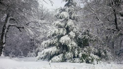 maruangulod's profile picture. 