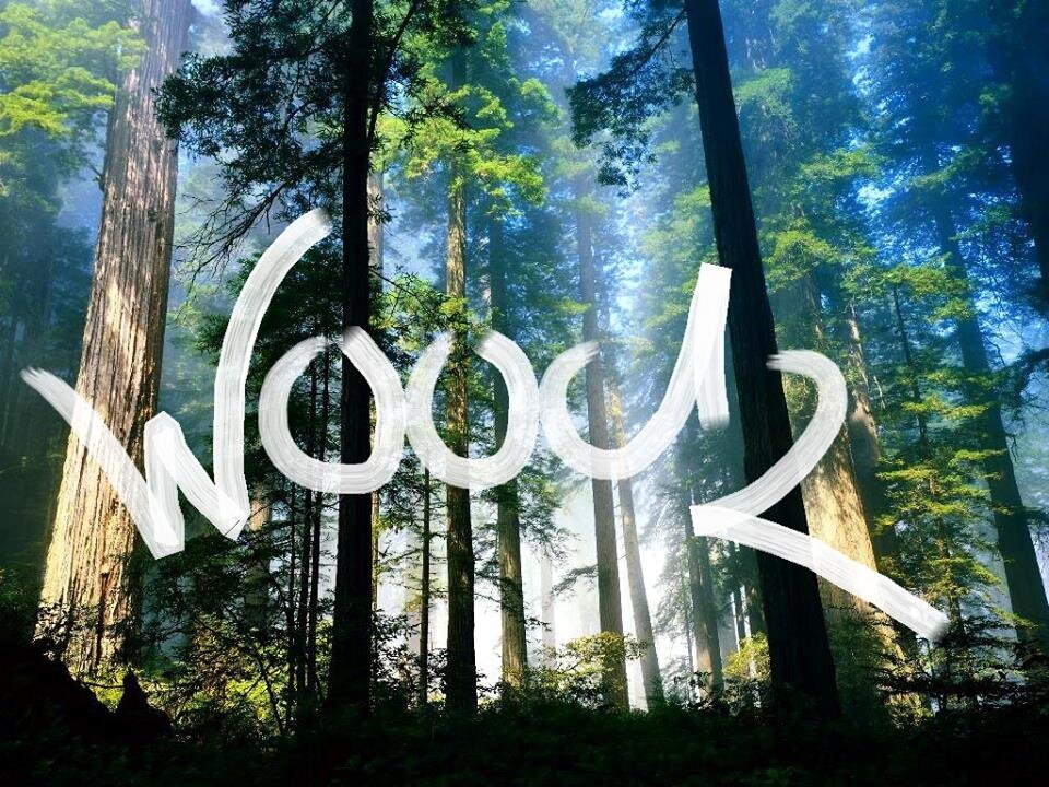 Woodz Clothing