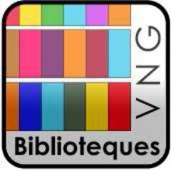 BibliotequesVNG Profile Picture