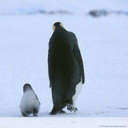 Marihalina's profile picture. 