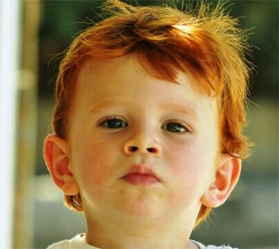 Entrenador Digimon. Hijo de Fred y Atenea. Hermano de Akane, As y Annabeth. soy un Weasley. Bromista