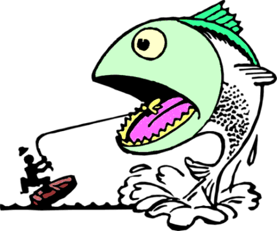 WhIsTLi's profile picture. Stephen Jay Gould “Las ideas más erróneas son las que creemos conocer mejor y que, por consiguiente, nunca cuestionamos”