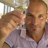 Danny Toccaceli (@dannyt219) 's Twitter Profile