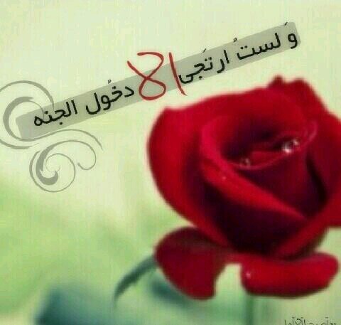 لستُ إلا عابره بدنيا فانيه امنيتي ان اخلد بالقلوب كَ ذكرى حسنه لَ افوز بدعوات نفوس طيبه اسعد بها حينما اكون بَ قبري وحيده