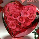 ghada moustafa - @ghadamoustafa5 - Twitter