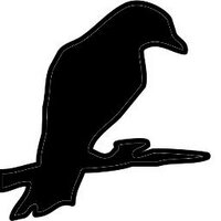 birdlife melbourne (@birdlife_melb) 's Twitter Profile