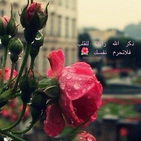 كود خصم نايس ون HH2