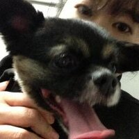 マキ巻 (@maki_gohan) 's Twitter Profile