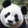 lpes_smcps's profile picture. Lexington Park Elementary School