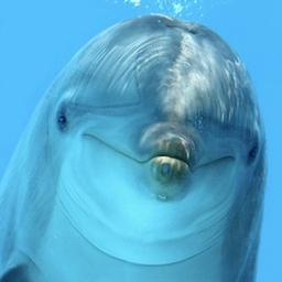 lmdes_smcps's profile picture. Lettie Marshall Dent Elementary School