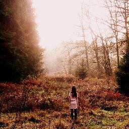 ''Take me down to the paradise city ''