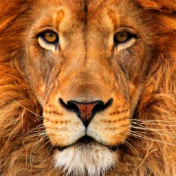 BBES_SMCPS's profile picture. Benjamin Banneker Elementary School