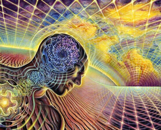 psiloscience's profile picture. 