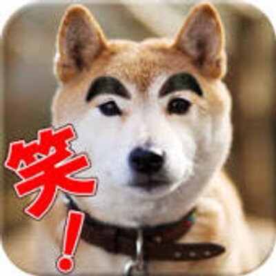 みんな笑える相互フォローbot 専門の時 デスクトップのスクリーンショットを撮って壁紙にしてアイコンを全部取っ払ったら 壁紙 のアイコンをwクリックしまくった生徒が起動しないと騒いで先生呼んできた 先生も壁紙のアイコンをクリックしまくって起動し みんな笑える相互フォローbot 専門の時 デスクトップのスクリーンショットを撮って壁紙にしてアイコンを全部取っ払ったら 壁紙 のアイコンをwクリックしまくった生徒が起動しないと騒いで先生呼んできた 先生も壁紙のアイコンをクリックしまくって起動し