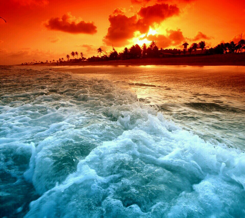 ultracimbom66's profile picture. 