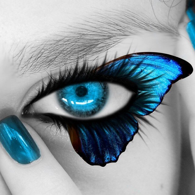 ChalonEmilie's profile picture. 