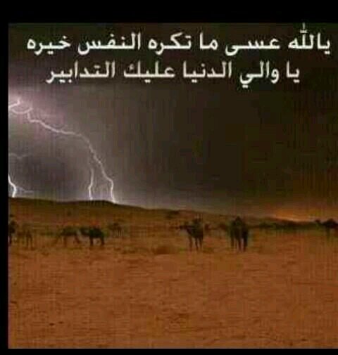 qloop8800's profile picture. 