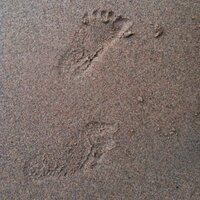 Miami Art Week (@miamiartweek) 's Twitter Profile