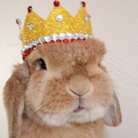 theTeacher (@andriane5) 's Twitter Profile