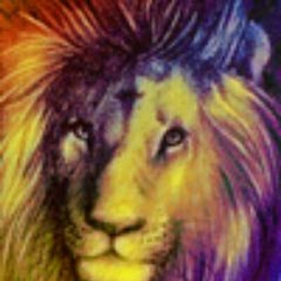 lmtsd LMTSD (@LMTSD) | Twitter lmtsd LMTSD (@LMTSD) | Twitter