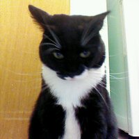 Mister Misty (@comnav1) 's Twitter Profile