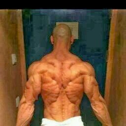 Commercial Pilot, Bodybuilder, Living One Day At a Time,
