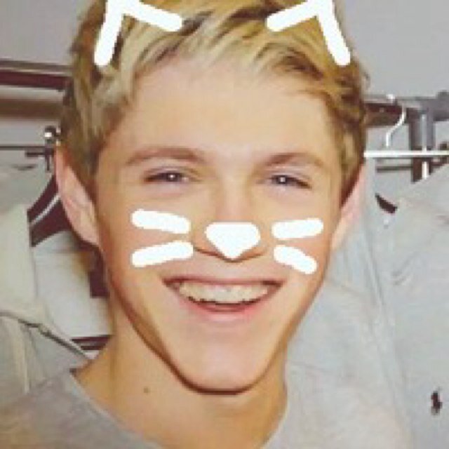 I'm Niall! I'm 19 and I'm part cat. I don't have an owner quite yet! [hybrid|single|gay]