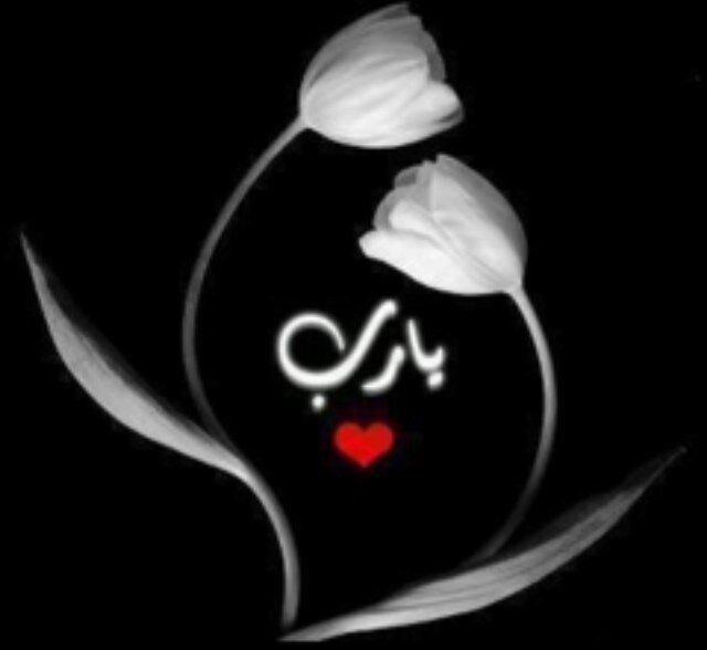 ✨الشوق لك وحدك✨