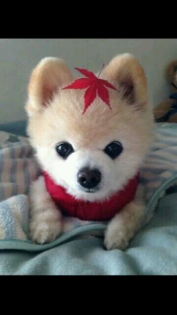 carolyn38's profile picture. have the most wonderful  3 beautiful children lv u all loads