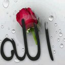 غصون مدور (@1979Geson) Twitter