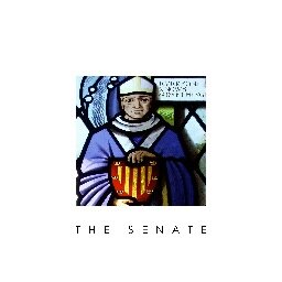The Senate comprise of two best mates, writing songs for fun and sharing them with whoever cares to   listen!  http://t.co/QeMEjkT57I