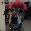 Billy Mckenzie - @BillyMckenzie4 - Twitter