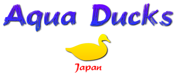 Helpful Solutions based on the Japanese 2011 tsunami. Follow and retweet to raise awareness. Spread the word that aqua ducks are ready (BGS STUDENT)