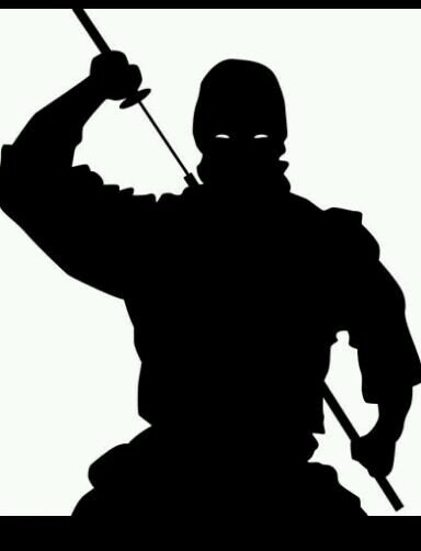 Nous sommes la nouvelle génération des Ninjas. Masqué personne ne nous reconnait