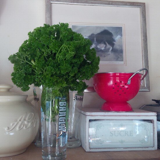 LilasCookbook's profile picture. Love Baking & Cooking from My Mothers Handwritten Cookbook.Lila's Cookbook,Cooking fresh enjoying all things Foodie