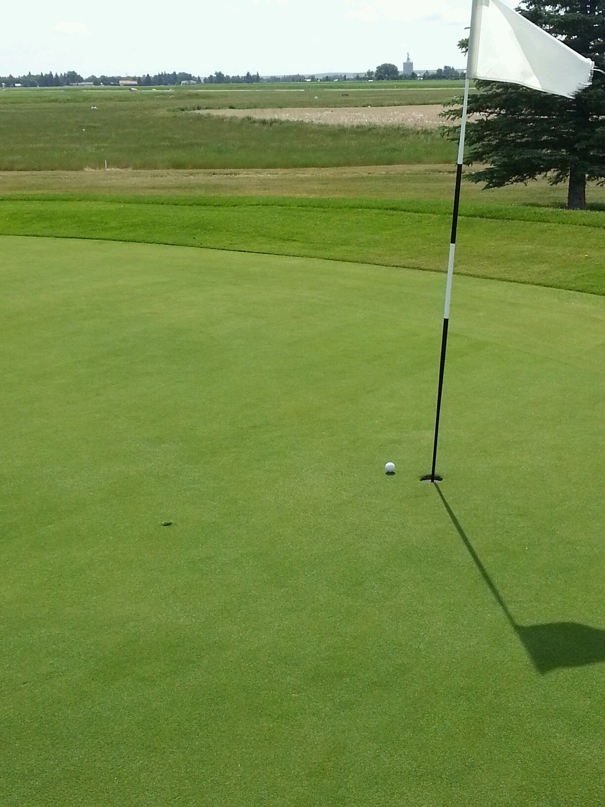 drbird73's profile picture. rural family doc and avid sports fan