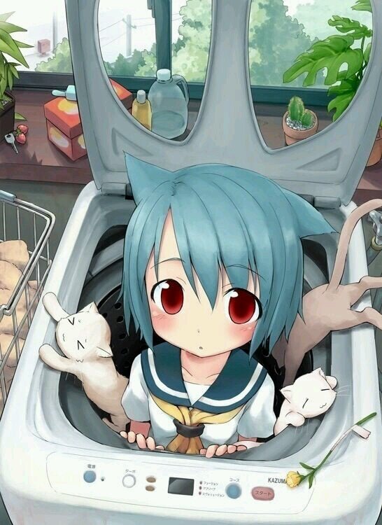 ネギまさんのプロフィール画像