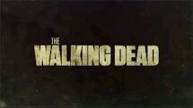 Just a The Walking Dead fanatic that loves deeply all the details of each episode of the best serie ever. Just that.