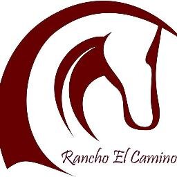 A fun place to ride with 6 arenas, 2 barns, 2 round pens, 24 x 24 stalls  and multiple trainers. You are sure to find what you and your horse are looking for!