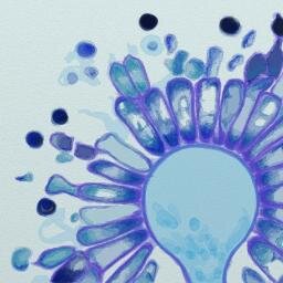 Je dessine, je nourris des corneilles, j'élève des chenilles..
et dans la vraie vie je suis infirmière en hématologie.